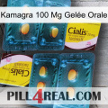 Kamagra 100 Mg Gelée Orale cialis5